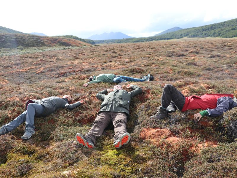The OC laying in the peatland moss